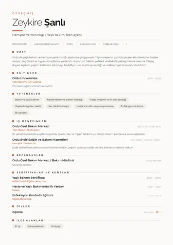 Hasta ve Yaşlı Bakım Elemanı Cv Örnekleri cv indir